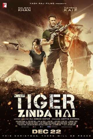 Tiger Zinda Hai (2017) streaming
