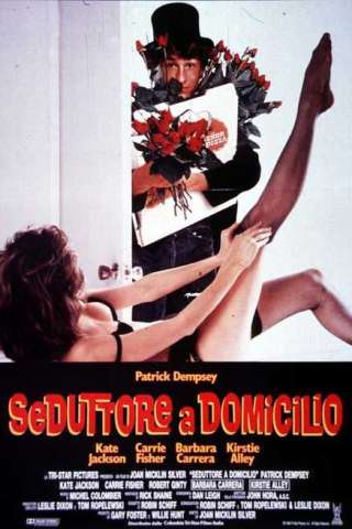 Seduttore a domicilio (1989) streaming