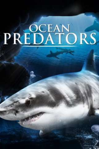 Ocean Predators (2013) streaming