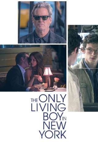 The Only Living Boy in New York (2017) streaming