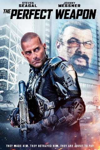 The Perfect Weapon (2016) streaming