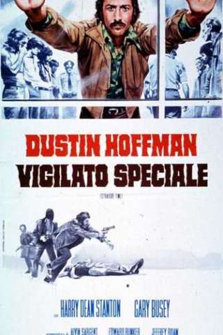 Vigilato speciale (1978) streaming
