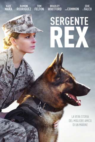 Sergente Rex (2017) streaming
