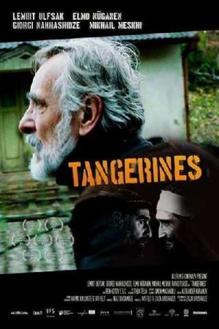 Tangerines - Mandarini (2013) streaming