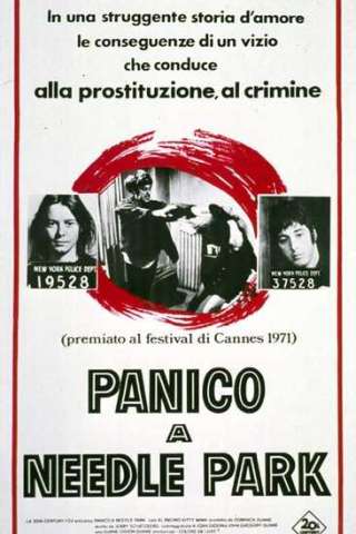 Panico a Needle Park (1971) streaming