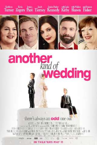 Another Kind of Wedding (2017) streaming