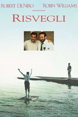 Risvegli (1990) streaming