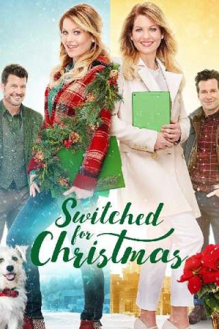 Scambiamoci a Natale (2017) streaming