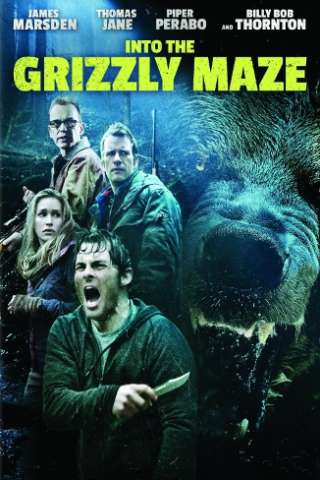 Labirinto dei Grizzly (2015) streaming