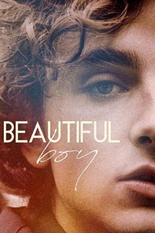 Beautiful Boy (2018) streaming