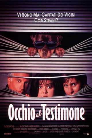 Occhio al testimone (1993) streaming