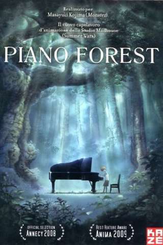 Piano Forest - Il piano nella foresta (2007) streaming