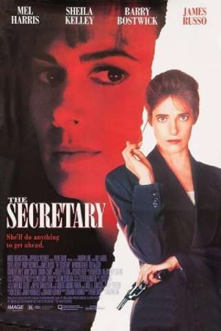 Istinto criminale - The Secretary (1995) streaming