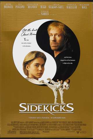 Pugno d'acciaio (1992) streaming