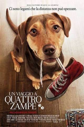 Un viaggio a quattro zampe (2019) streaming