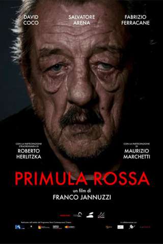 Primula Rossa (2019) streaming