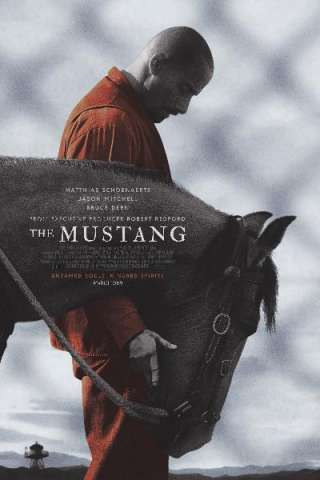 The Mustang (2019) streaming