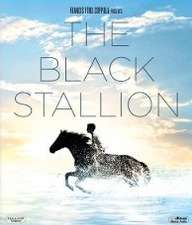 Black Stallion (1979) streaming