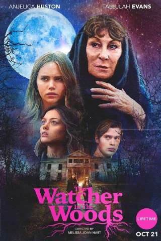 Il mistero di Aylwood House (2017) streaming