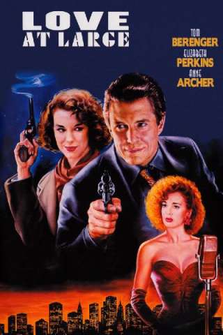 Un amore passeggero (1990) streaming