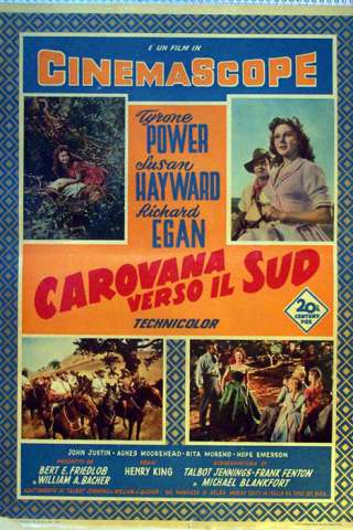 Carovana verso il sud (1955) streaming