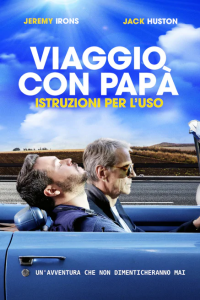 Viaggio con papà - Istruzioni per l'uso (2018) streaming