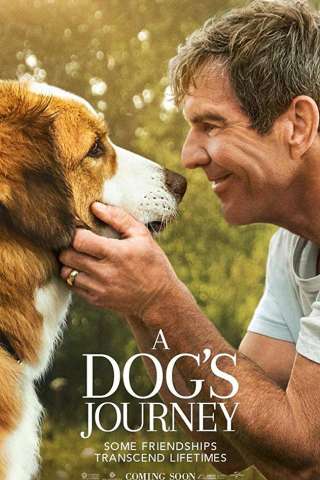 A Dog's Journey (2019) streaming