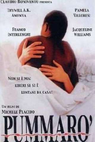 Pummarò (1990) streaming