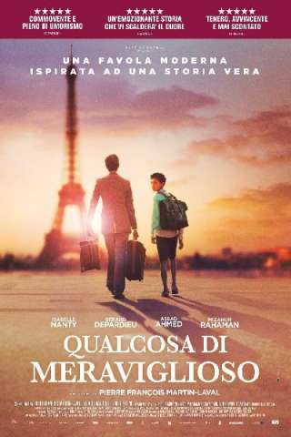 Qualcosa di meraviglioso (2019) streaming