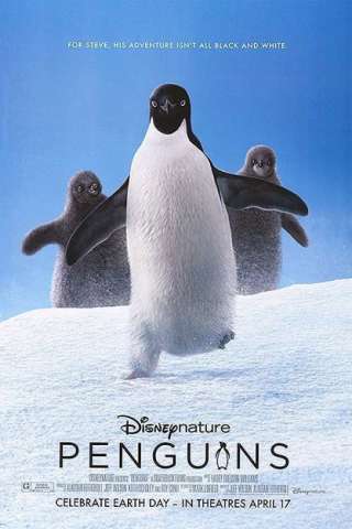 Penguins (2019) streaming
