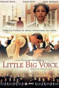 La piccola grande voce (2015) streaming