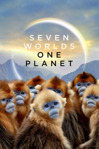 Seven Worlds, One Planet (2019) streaming
