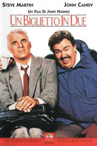 Un biglietto in due (1987) streaming