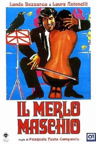 Il merlo maschio (1971) streaming