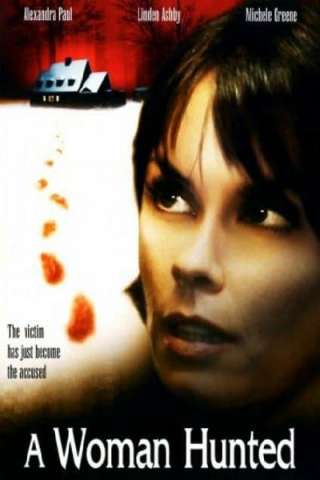 In fuga dalla legge (2003) streaming