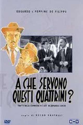 A che servono questi quattrini? (1942) streaming