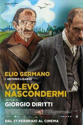 Volevo nascondermi (2020) streaming
