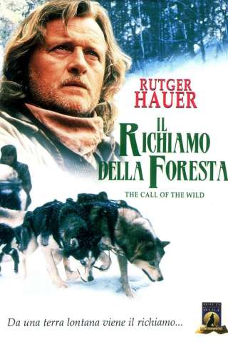 Il richiamo della foresta (1996) streaming