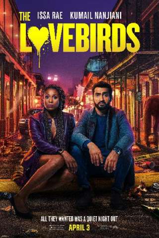 The Lovebirds (2020) streaming