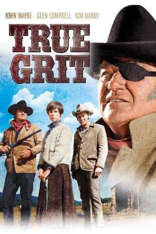 Il Grinta (1969) streaming