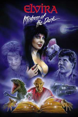 Una strega chiamata Elvira (1988) streaming