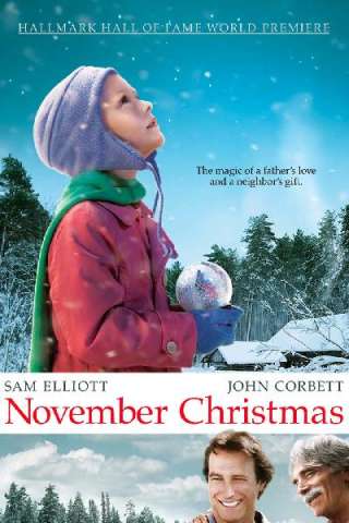 Miracolo a novembre (2011) streaming