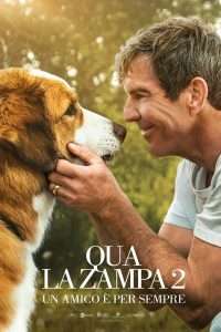 Qua la zampa 2 - Un amico è per sempre (2019) streaming