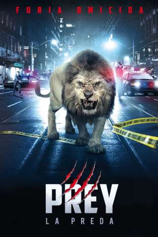 Prey - La preda (2016) streaming