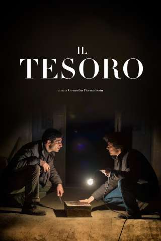 Il tesoro (2015) streaming