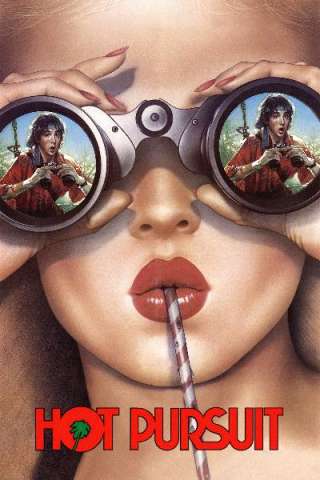 Su e giù per i Caraibi (1987) streaming