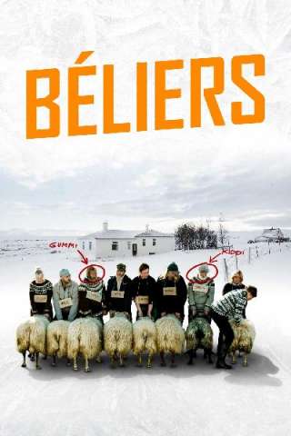 Rams - Storia di due fratelli e otto pecore (2015) streaming