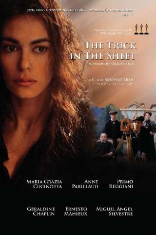 L'imbroglio nel lenzuolo (2010) streaming