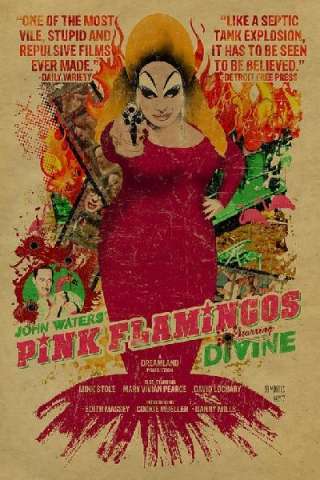 Fenicotteri rosa (1972) streaming