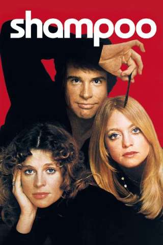 Shampoo (1975) streaming